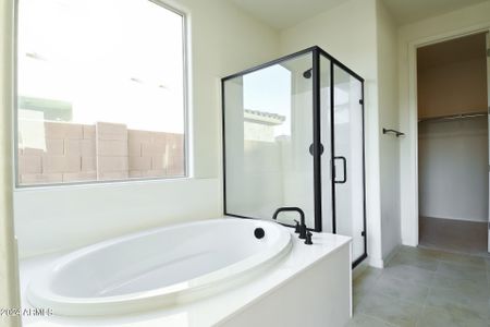 New construction Single-Family house 1702 W Flintlock Drive, San Tan Valley, AZ 85144 - photo 14 14