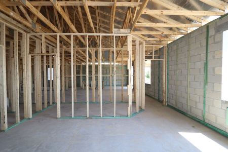 New construction Single-Family house 32568 Sapna Chime Drive, Wesley Chapel, FL 33545 Barcello- photo 18 18