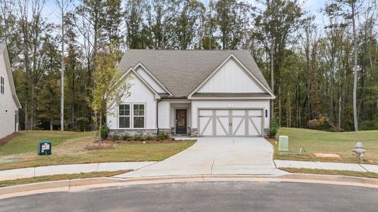 New construction Single-Family house Mayhaw Point, Sharpsburg, GA 30277 - photo 0