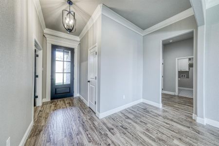 New construction Single-Family house 162 Breeders Drive, Willow Park, TX 76087 - photo