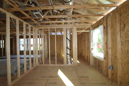 New construction Single-Family house 12114 Hilltop Farms Drive, Dade City, FL 33525 Alenza- photo 75 75