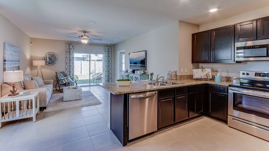 New construction Single-Family house 33381 Darley Dale Trail, Wesley Chapel, FL 33545 Allex- photo 4 4