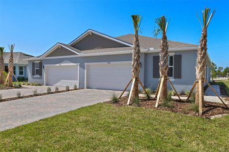 New construction Single-Family house 5898 Timberdale Avenue, Wesley Chapel, FL 33545 Regatta- photo 0