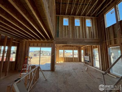 New construction Single-Family house 1726 Lucent Ct, Windsor, CO 80550 - photo 3 3