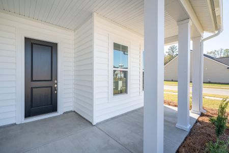 New construction Single-Family house 1315 Locals Street, Summerville, SC 29485 - photo 2 2