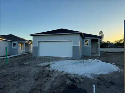 New construction Single-Family house 10355 Honeysuckle Vine Circle, Riverview, FL 33578 - photo 0