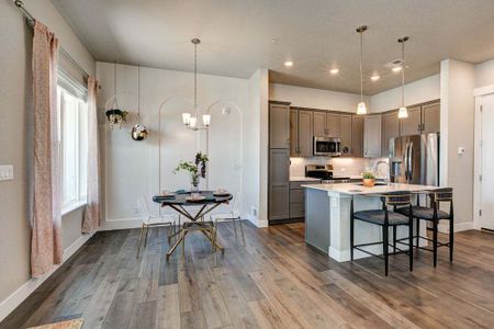 New construction Townhouse house 827 Schlagel Street, Fort Collins, CO 80524 - photo 57 57