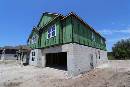 New construction Single-Family house 10634 New Morning Drive, Tampa, FL 33647 Grandshore II- photo