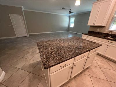 New construction Townhouse house 2149 Cerulean Sky Drive, Lutz, FL 33558 - photo 7 7