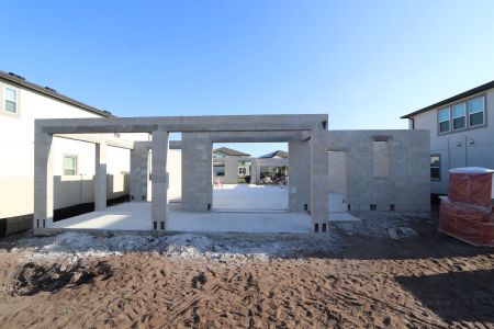 New construction Single-Family house 3024 King Fern Drive, Wimauma, FL 33598 Mira Lago- photo 9 9