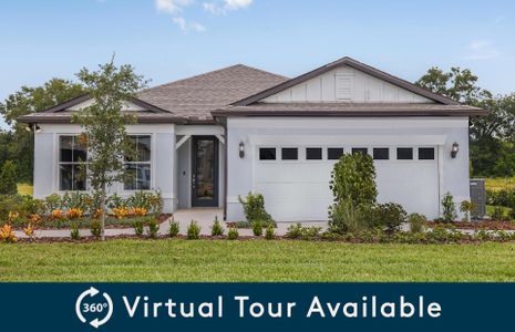 New construction Single-Family house Sterling Hill , Spring Hill, FL 34609 - photo 17 17