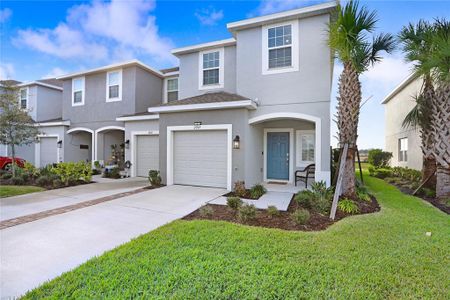 New construction Townhouse house 2265 Alee Lane, Wesley Chapel, FL 33543 - photo 1 1