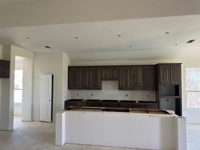 New construction Single-Family house 1112 Trinity Drive, Springtown, TX 76082 Colca II FE- photo 5 5