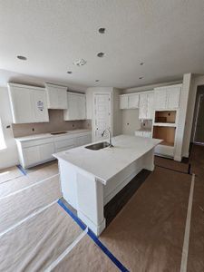 New construction Single-Family house 1705 Garrett Oaks Lane, Georgetown, TX 78633 San Saba F- photo