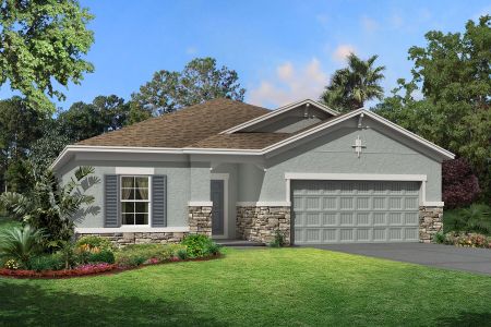 New construction Single-Family house 4969 Eagle Rock Drive, Wimauma, FL 33598 - photo 0 0