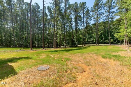 New construction Single-Family house 2670 Sledge Road, Louisburg, NC 27549 - photo 36 36