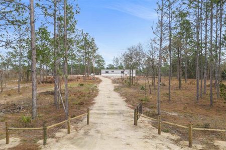 New construction Manufactured Home house 5991 Se 120Th Avenue, Morriston, FL 32668 - photo 1 1