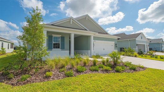 New construction Single-Family house 14526 Paddlers Crossing, Parrish, FL 34219 - photo 1 1