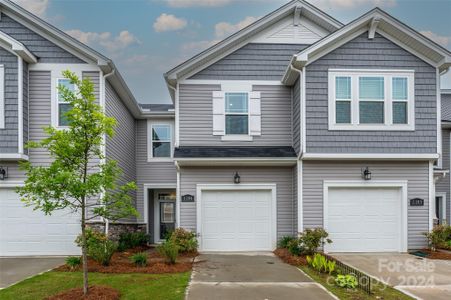 New construction Townhouse house 1105 Bigelow Street, Charlotte, NC 28269 - photo
