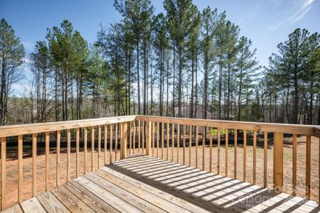 New construction Single-Family house 137 Top Flite Drive, Statesville, NC 28677 - photo 6 6