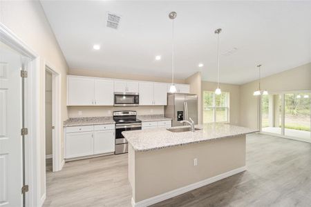 New construction Single-Family house 20315 Sw 102Nd Street Road, Dunnellon, FL 34431 - photo 5 5