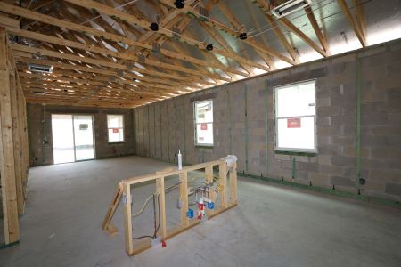 New construction Single-Family house 31843 Sapna Chime Drive, Wesley Chapel, FL 33545 Picasso- photo 29 29