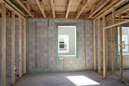 New construction Single-Family house 2881 Misty Marble Drive, Zephyrhills, FL 33540 Castellana- photo 22 22