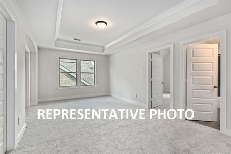 New construction Single-Family house 125 Old Eagle Rd, Georgetown, TX 78633 The Carter IX- photo 10 10
