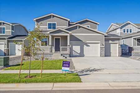 New construction Single-Family house 864 Hummocky Way, Windsor, CO 80550 Avon- photo 0