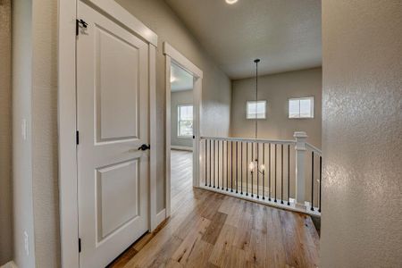 New construction Single-Family house 8412 Cromwell Circle, Windsor, CO 80528 - photo 42 42
