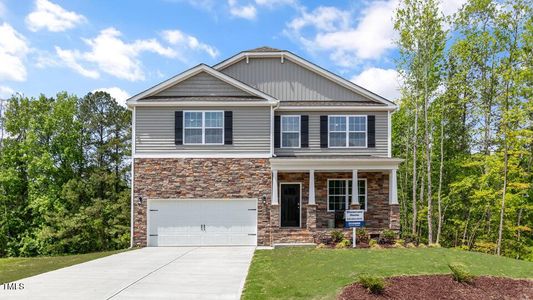 New construction Single-Family house 44 Ogburn Hicks Way, Willow Spring, NC 27592 - photo 0