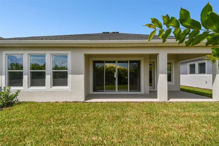 New construction Single-Family house 6165 Jensen View Avenue, Apollo Beach, FL 33572 The Stratum- photo 30 30