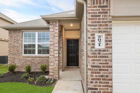 New construction Single-Family house 5021 Chital Drive, Fort Worth, TX 76036 Deer Creek - The Palermo- photo