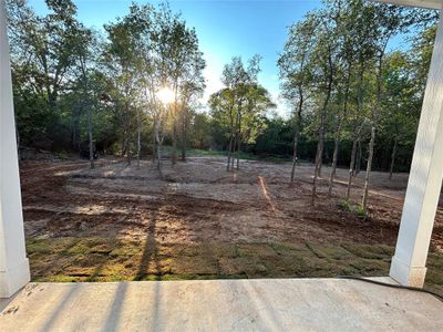 New construction Single-Family house 124 Heleakala Dr, Bastrop, TX 78602 - photo 15 15