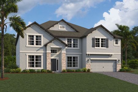 New construction Single-Family house 10805 Rolling Moss Road, Tampa, FL 33647 - photo 9 9
