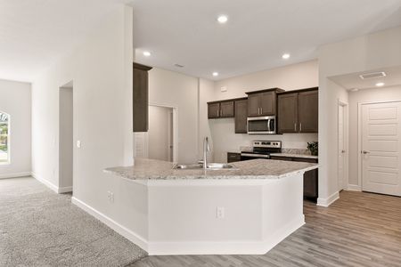 New construction Single-Family house 3455 North Michener Point, Beverly Hills, FL 34465 - photo 13 13