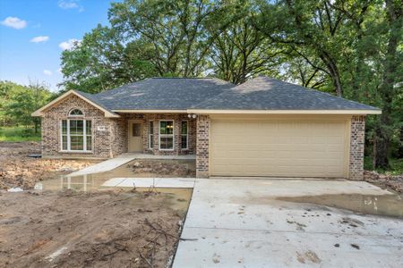 New construction Single-Family house 188 Armada Loop, Payne Springs, TX 75156 - photo 8 8