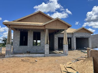 New construction Single-Family house 16893 Muskgrass Drive, Winter Garden, FL 34787 Cambridge - Cottage Collection- photo 14 14