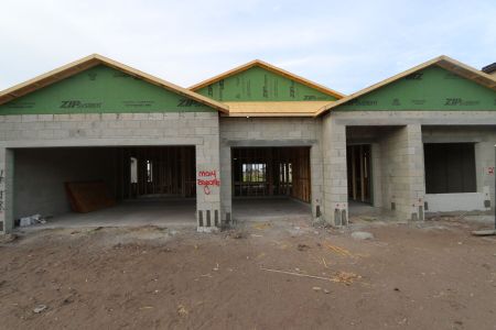 New construction Single-Family house 5082 Bromeliad Avenue, Wimauma, FL 33598 Barcello- photo 9 9