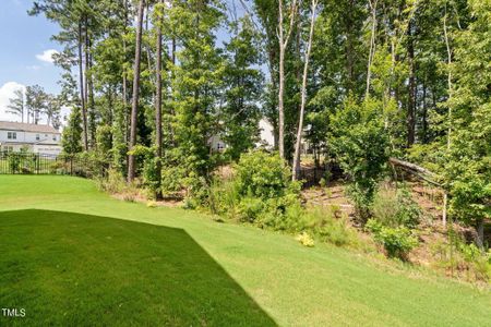 New construction Single-Family house 89 Marago Way, Clayton, NC 27527 - photo 26 26