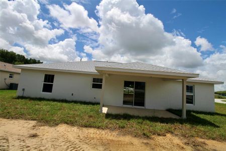 New construction Single-Family house 11 Locust Run Trace, Ocala, FL 34472 - photo 22 22
