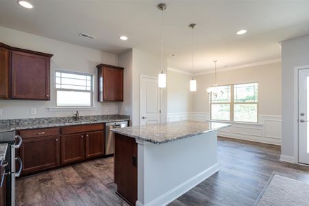 New construction Single-Family house 16 Bramlett Ridge Drive, Dallas, GA 30157 - photo 15 15