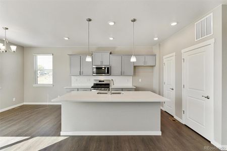 New construction Single-Family house 18038 Dandy Brush Lane, Parker, CO 80134 CABRAL- photo 11 11