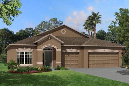 New construction Single-Family house Corina II, 2225 Anderson Snow Road, Spring Hill, FL 34609 - photo