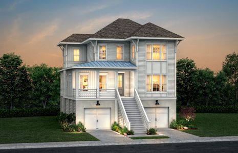 New construction Single-Family house Starling - Dock, 372 Blowing Fresh Drive, Charleston, SC 29492 - photo