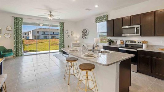 New construction Townhouse house 16634 Grotto Steam Place, Wimauma, FL 33598 - photo 6 6
