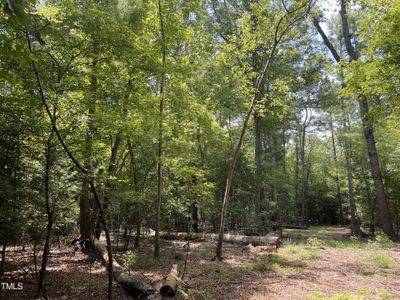 New construction Single-Family house 7588 Sadie Road, Kenly, NC 27542 - photo 8 8