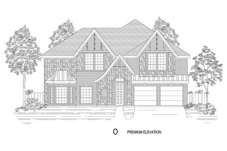 New construction Single-Family house 2552 Amber Ridge Lane, Grand Prairie, TX 75054 Brentwood 3F (w/Media)- photo 0