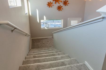 New construction Single-Family house 2908 Conquest Street, Fort Collins, CO 80524 - photo 27 27