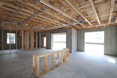 New construction Single-Family house 31801 Sapna Chime Drive, Wesley Chapel, FL 33545 Alenza- photo 26 26